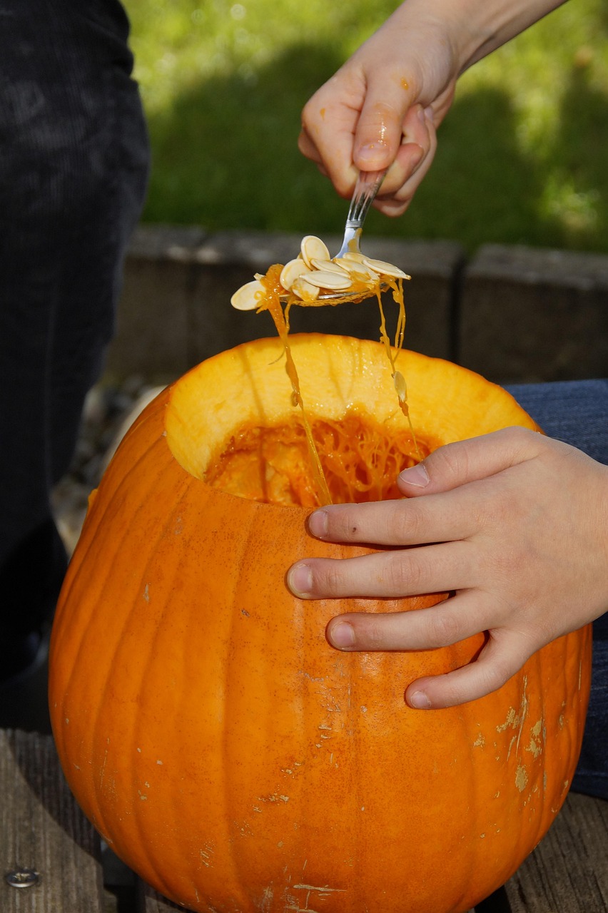 Services pumpkin, halloween, fall, orange, vegetables, hollow out, 31 october, lid, carving pumpkin, carve pumpkin ghost, halloweenkuerbis, pumpkin ghost, autumn decoration, diy pumpkin ghost, to carve, october, jack olantern, to empty, interior, child, trick or treat, carving pumpkin, carving pumpkin, carving pumpkin, carving pumpkin, carving pumpkin