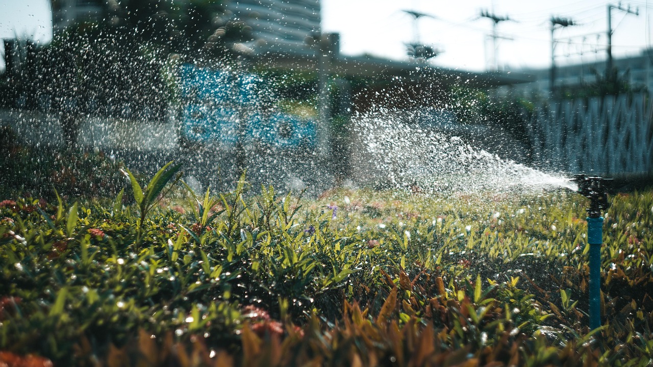 installer un système d'arrosage automatique : guide complet pour débutants système d'arrosage automatique : optimisez l'arrosage de vos plantes avec une solution innovante, économique et facile à utiliser pour un jardin toujours verdoyant.